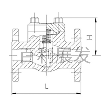 法兰止回阀