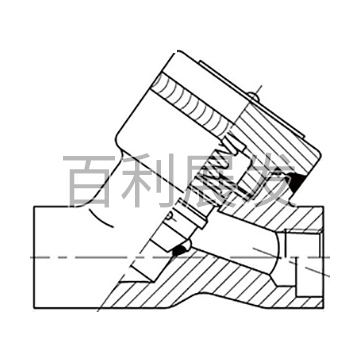 Y型止回阀