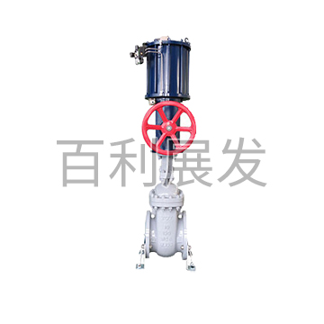 Pneumatic parallel double gate valve